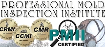 Professional Mold Inspection Institute